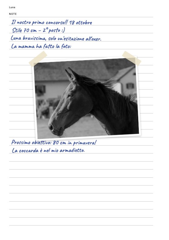 Pagina di note in fondo: appunti sul primo concorso e una foto del cavallo incollata